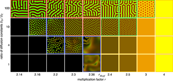 Brave New World of Dynamical Pattern Formation